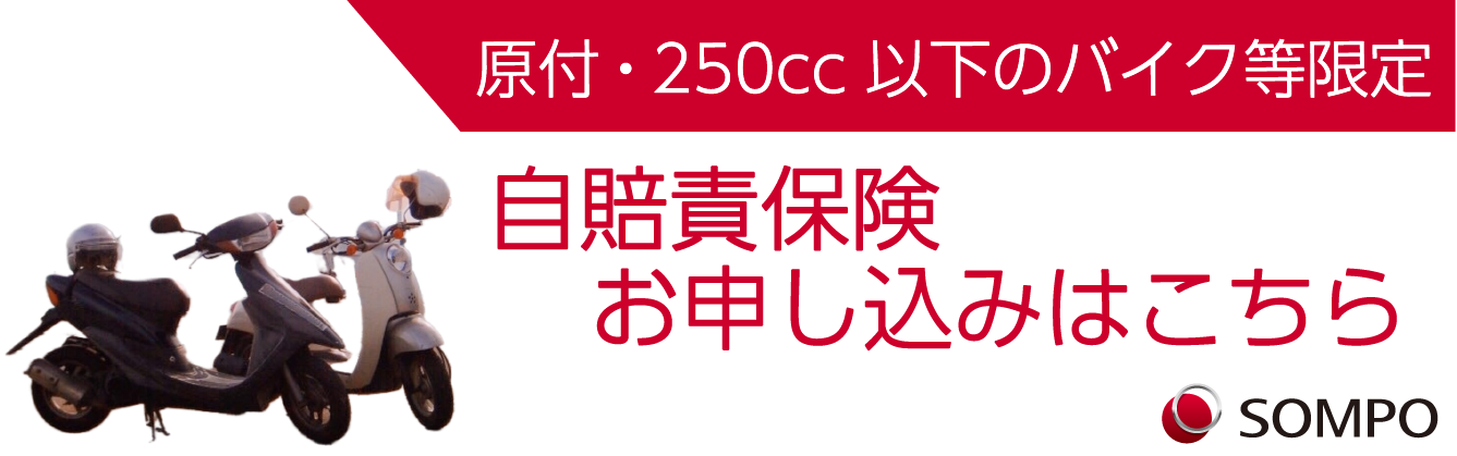 乗るピタ